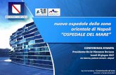 nuovo ospedale della zona orientale di Napoli OSPEDALE DEL ... · orientale di Napoli ... operatoria h24, servizio psichiatrico di diagnosi e cura ; al 30 giugno 2017 discipline area