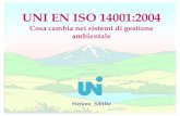 Slide UNI Sibilio - risorsecomuni.it UNI_Sibilio.pdf · UNI ISO 14004:2005. Indicatori di prestazione ambientale