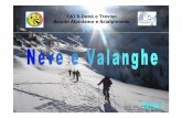 CAI S.Donà e Treviso Scuole Alpinismo e Scialpinismo · inizia a scorrere verso il basso del manto. 21 ... Il ripetuto disgelo e rigelo ... •La coesione per feltratura è un fenomeno