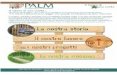 palm.itpalm.it/Portals/13/brochureleggera.pdf · Assoscai La promozione di un consumo e di una produzione sostenibili sono gli elementi cruciali per vincere la sfida della sostenibilità.