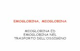 EMOGLOBINA, MIOGLOBINA · 2016-11-10 · •Il catabolismo della emoglobina porta alla separazione della componente proteica dall’eme. • La degradazione dell’eme avviene nella