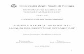 Università degli Studi di Ferrara - EprintsUnifeeprints.unife.it/127/1/TESI_CD.pdf · Dinorfina A: H-Tyr-Gly-Gly-Phe-Leu-Arg-Arg-Ile-Arg-Pro-Lys-Leu-Lys-Trp-Asp-Asn-Gln-OH Nocicettina