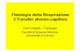 Fisiologia della Respirazione 3.Transfer alveolo-capillare · • Transfer alveolo-capillare dei gas limitato dalla diffusione o dalla perfusione dei capillari polmonari • Il caso