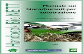 Manuale sui biocarburanti per autotrazione - cti2000.it · Taxi 878 a Graz (Austria), l'impiego di bioetanolo nei veicoli comunali di Stoccolma (Svezia) e di biometano negli autobus