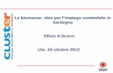 Le biomasse: idee per l’impiego sostenibile in Sardegna Efisio A · zuccheri e biogas per bioetanolo, alimenti per animali, fertilizzanti, elettricità e calore da colture amidacee