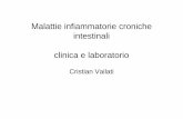 Malattie infiammatorie croniche intestinali clinica e ... Vailati - Ruolo della clinica e del... · Malattie infiammatorie croniche intestinali (IBD) • colite ulcerosa (UC): infiammazione