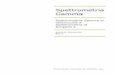 Spettrometria Gamma - theremino.com · Raggi Gamma I raggi gamma sono la parte di più alta energia della radiazione elettromagnetica, sono fisicamente uguali a tutte le altre forme