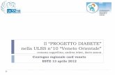 Il “PROGETTO DIABETE” nella ULSS n°10 “Veneto Orientale” CAPPELLINA.pdf · accordi 2005 e 2006 . DIABETE tipo 2 non insulino trattato : Patto Aziendale per i MMG ... Maschi