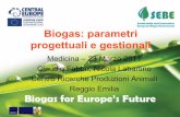 Biogas: parametri progettuali e gestionali - SEBEsebe.crpa.it/media/documents/SEBE/Divulgazione/Corso_23_3_2011... · - coefficiente di trasformazione dell’alimento - soluzione