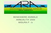 BENESSERE ANIMALE ANNUALITA' 2009 MISURA F - b · Efficienza riproduttiva Costi di alimentazione ... cellule somatiche e carica batterica sotto le 500.000. ... ovino di circa 280