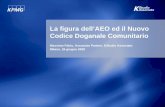 La figura dell’AEO ed il Nuovo Codice Doganale Comunitario · della sicurezza fisica, il che può implicare: ... − nel caso di un'impresa di grandi dimensioni, un sistema di contabilità