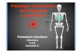 Patologie traumatiche dell’Apparato LtLocomotore · Anatomia e FisiologiaAnatomia e Fisiologia. costituisce la struttura portante del corpo, ed ècostituisce la struttura portante