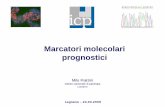 Marcatori molecolari prognostici - m4.ti.ch · Adenoma tipo I Adenoma tipo II Carcinoma in situ ... Modelli di progressione del tumore colorettale APC Met (p16) Adenoma tipo I APC