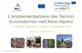 L’implementazione dei Servizi Ecosistemici nell’Arco Alpino · Quali sono i principali ostacoli nell’applicazione del concetto di SE? L’implementazionedei Servizi Ecosistemici