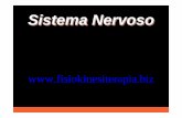 Sistema Nervoso - fisiokinesiterapia.biz · SNC (encefalo e midollo spinale) recettori sensoriali Neuroni del sistema nervoso enterico Neuroni autonomi Neuroni Motori somatici simpatici