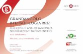 CONVEGNO - Rete Oncologica Piemonte · Highlights su LMC Gianantonio Rosti 3512. Hot topics Quando sospendere la terapia nella CML: ... sinistra, proseguire dritti oltrepassando viale
