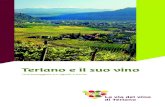 La via del vino di Terlano · storici della coltivazione della vite, le zone, i vitigni, le forme di allevamento e le tenute situate sulla via del vino. La via del vino di Terlano