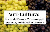 Viti-Cultura - IC CRESPELLANOiccrespellano.gov.it/wp-content/uploads/sites/197/22-novembreP.pdf · la storia della vite ... bolognese, passando attraverso la coltivazione della vite