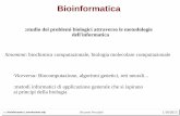 Bioinformatica - biochimica.unipr.itbiochimica.unipr.it/biocomp/bioinformatica_introduzione.pdf · Sinomimi: biochimica computazionale, biologia molecolare computazionale. ... Discussione