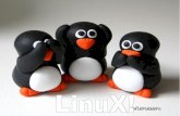 Linux!!!! - brunocipolla.net BC.pdf · Cloud storage (dropbox, google drive ... Sviluppato inizialmente nel 1991 da Linus Torvalds come un piccolo ma autosufficiente nucleo, con lo