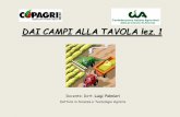 DAI CAMPI ALLA TAVOLA lez. 1 - palmieri.ccpalmieri.cc/onewebmedia/SLIDES ALIMENTI 1 2014.pdf · relativa ai controlli in materia di sicurezza alimentare e applicazione dei regolamenti
