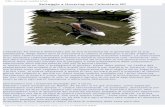 Settaggio e Hovering con l'elicottero RCmodelgravellona.altervista.org/alterpages/files/HOVERING.pdf · per tutti gli altri comandi, la velocità non ha grandissima importanza purchè