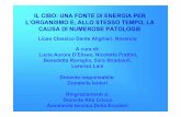 IL CIBO: UNA FONTE DI ENERGIA PER L’ORGANISMO E, … · IL CIBO: UNA FONTE DI ENERGIA PER L’ORGANISMO E, ALLO STESSO TEMPO, LA CAUSA DI NUMEROSE PATOLOGIE Liceo Classico Dante