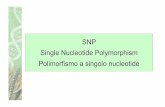 Sommario - DistaGenomics 2014.pdf · S: frequenza con cui si trovano nucleotidi segreganti (cioè polimorfici) lungo il genoma. (1 /100-500 bp nella specie umana, molto variabile