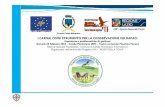 L’esperienza dei carnai in Sardegna - Benvenuti nel sito ... · 2. il 4% delle carcasse di ovini e caprini, ... utilizzando uno dei test specificati nel regolamento (CE) n. 999/2001,