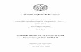 Università degli Studi di Cagliari - University of Cagliariveprints.unica.it/1364/1/PhD_Thesis_Civiero.pdf · 1 Università degli Studi di Cagliari DOTTORATO DI RICERCA IN SVILUPPO