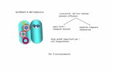 DIVERSITÀ METABOLICA i procarioti, nel loro insieme ...didattica.uniroma2.it/assets/uploads/corsi/148643M1955/D-1314_ppdf.pdf · biochimiche che si verificano in una cellula vivente.