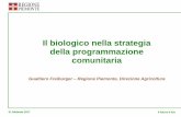 Il biologico nella strategia della programmazione comunitaria · La Misura 11 del PSR 2014-2020 La misura nel suo insieme sostiene le pratiche dell’agricoltura biologica, che hanno