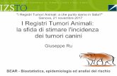I Registri Tumori Animali: a che punto siamo in Italia? Genova, 21 ... · I Registri Tumori Animali: la sfida di stimare l'incidenza dei tumori canini Giuseppe Ru BEAR - Biostatistica,