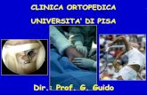 Dir.: Prof. G. Guido - Sport and Anatomy · positivo arto affetto intraruotato e gomito flesso a 90° alla all’altezza del rachide lombare comparsa ... segno di hueter