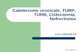 Cateterismo vescicale, TURP, TURB, Cistectomia, Nefrectomia · Cateterismo vescicale Il Cateterismo vescicale è l’introduzione, con posizionamento provvisorio o permanente, di