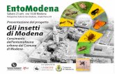 Gli Insetti di Modena - entomodena.com · • presentazione dei risultati ottenuti. Individuare le aree per il monitoraggio. ... Download on the App Store . Pagina iniziale ornitho.it