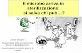 Il microbo arriva in sterilizzazione: si salva chi può…? · si riproducono • si muovono • muoiono come tutti gli esseri viventi invisibili a occhio nudo invisibili a ... cm