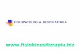 fisioresp [modalità compatibilità] - Fisiokinesiterapia · L’unità alveolo-capillare ... Normale diffusione dei gas a livello alveolo-capillare 6. (Normale trasporto di O2 in