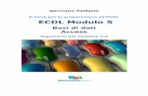 E-book per la preparazione all’ECDL ECDL Modulo 5 · La definizione di database è un insieme di dati, organizzati in archivi, logicamente correlati fra loro. ... l’aspetto di