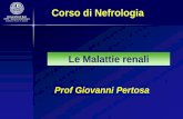 Corso di Nefrologia - Corso di Laurea in Infermieristicainfermieristica.polodidatticopanico.com/wp-content/uploads/sites/2/... · Sindrome nefritica Sindrome nefrosica Anomalie urinarie