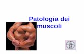 Patoatoogadelogia dei muscoli - UniFI · PDF fileLesioni muscolari da traumi direttiLesioni muscolari da traumi diretti Grado moderato • Dolore che rapidamente si riduce fino a Dolore