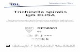 Trichinella spiralis IgG ELISA - ibl-international.com · della IgG per Trichinella spiralis nel siero o plasma (citrato, eparina) umano. RE58661 96 2-8°C ... ematica o linfatica.