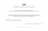 TECNICHE DI RIPARAMETRIZZAZIONE NELLA …tesi.cab.unipd.it/40084/1/tesi_finale.pdf · L’INDIVIDUAZIONE DELLA MATRICE DI RIPARAMETRIZZAZIONE ..... 71 APPENDICE 2 - Riparametrizzazione