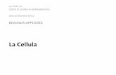 La Cellula - Infermieristica Lecce · 1665, Hooke Immagini cellulari ottenute con vari tipi di microscopio Microscopio a campo chiaro Microscopio a campo scuro Microscopio a contrasto