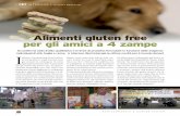 Alimenti gluten free per gli amici a 4 zampe - casapet.it giugno-luglio2016.pdf · secondo il mio parere, è stato ... da mordere, per il tira-molla, palle-elicotte- ... strano i
