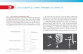 2 L’OSSERVAZIONE MICROSCOPICALftarantino.altervista.org/alterpages/files/MICROSCOPIOCOMPLETO.pdf · microscopio ottico Limite di ... la tradizionale osservazione in campo chiaro