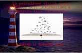 La percezione visiva quale codifica dell’informazione e accesso …istruzionepiemonte.it/istruzione_piemonte/... · PPT file · Web view2013-01-27 · Ipotesi del deficit fonologicico