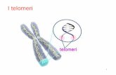 I telomeri - io-passo.it MOLECOLARE.pdf · Il codice genetico è basato su una tripletta di basi, ossia un codone, che è una sequenza precisa di tre basi nucleotidiche indicate da