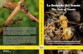 Le formiche del Veneto - biodiversityassociation.org · raccolta, lo studio e l’allevamento di questi meravigliosi insetti sociali. This guide is aimed to give a contribution to
