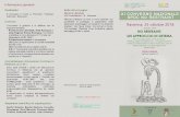 Comune di Ravenna con il patrocinio di OPI Ravenna · Sindaco di Ravenna Storia della contenzione e normativo giuridico del restraint Roberto Zanfini Moderatore Ravenna profilo 12,40